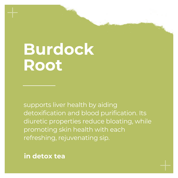 Ingredients of Detox Tea by Dee's Teas - Burdock Root