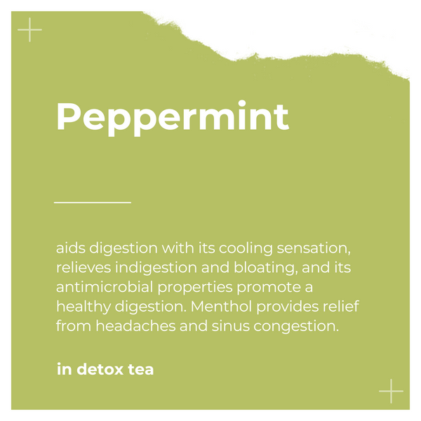Ingredients of Detox Tea by Dee's Teas - Peppermint